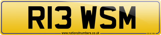 R13 WSM