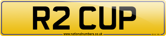 R2 CUP