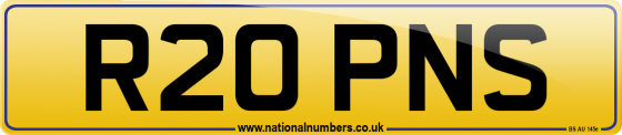 R20 PNS