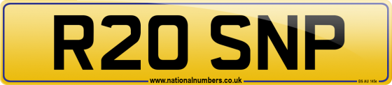 R20 SNP