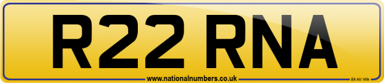 R22 RNA