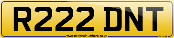 R222 DNT