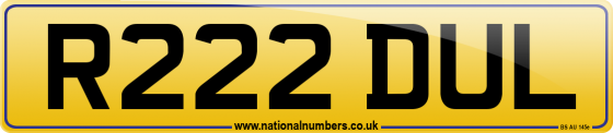 R222 DUL