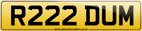 R222 DUM