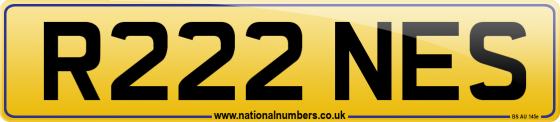 R222 NES