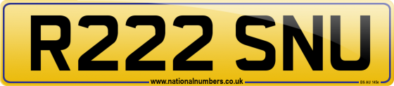 R222 SNU