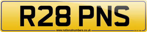 R28 PNS