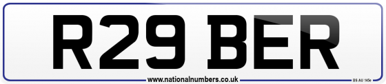 R29 BER