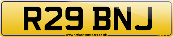 R29 BNJ