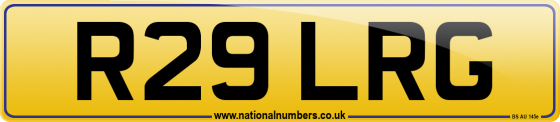 R29 LRG