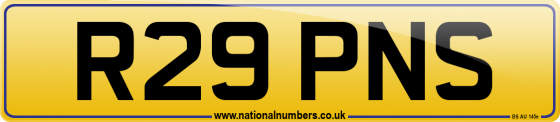 R29 PNS