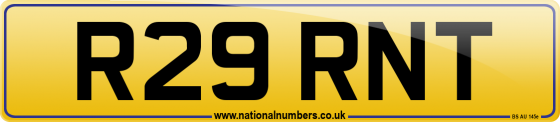 R29 RNT