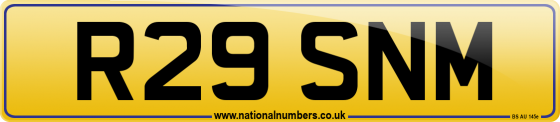 R29 SNM