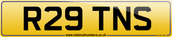 R29 TNS