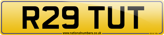 R29 TUT