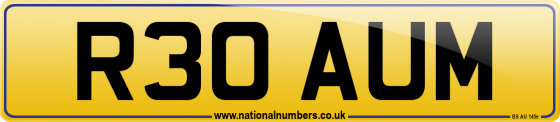 R30 AUM