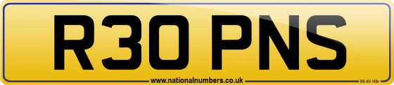 R30 PNS