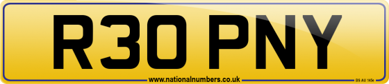 R30 PNY