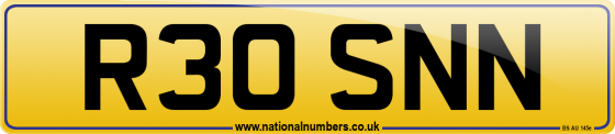 R30 SNN