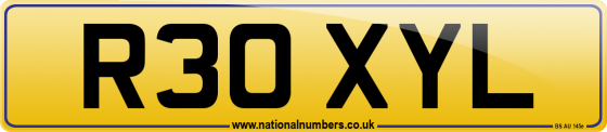 R30 XYL