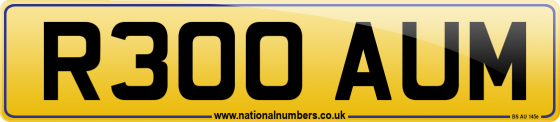 R300 AUM