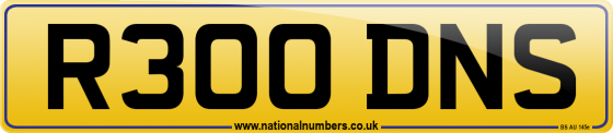 R300 DNS