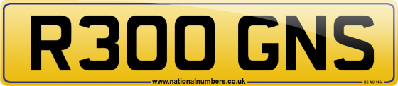 R300 GNS