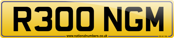 R300 NGM