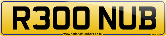 R300 NUB