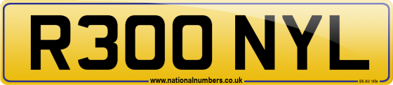 R300 NYL