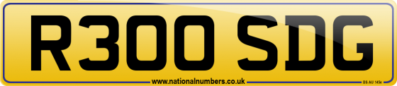 R300 SDG
