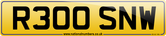 R300 SNW