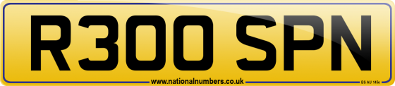 R300 SPN