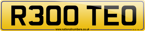R300 TEO