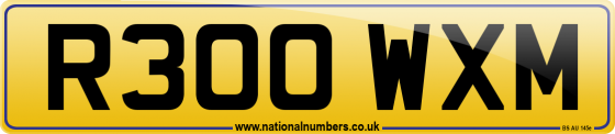 R300 WXM
