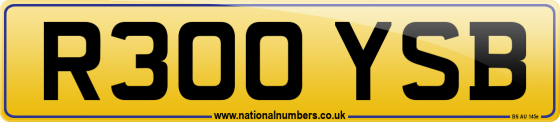 R300 YSB