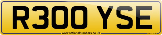 R300 YSE