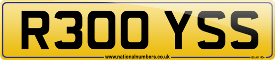 R300 YSS