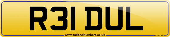 R31 DUL