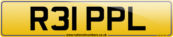 R31 PPL