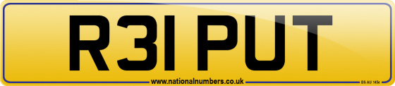 R31 PUT