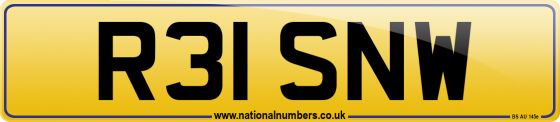 R31 SNW