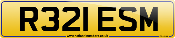 R321 ESM