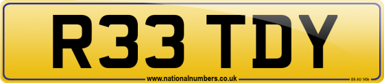 R33 TDY