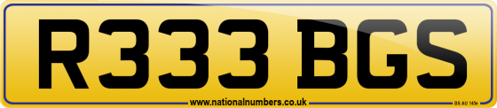 R333 BGS