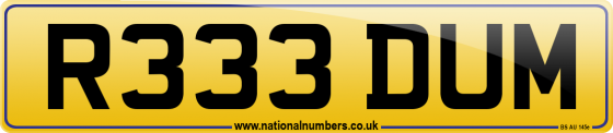 R333 DUM