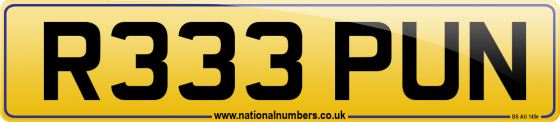 R333 PUN
