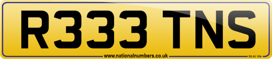 R333 TNS