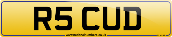 R5 CUD