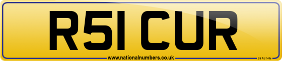 R51 CUR
